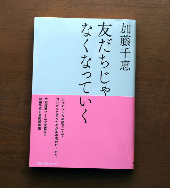水原紫苑歌集 びあんか/うたうら【決定版】深夜叢書社（現代歌人協会賞） Amazon.co.jp: びあんか/うたうら : 水原 紫苑: 本