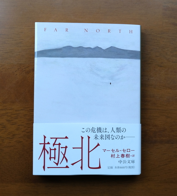 ジョン・チーヴァー『巨大なラジオ／泳ぐ人』を読みました。: my photo