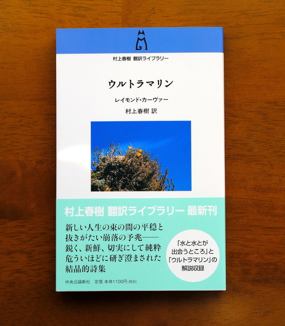 レイモンド・カーヴァー『水と水とが出会うところ』を読みました。（再