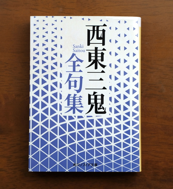 句集を読む「水のかたまり」（坪内稔典）① | 象の森から