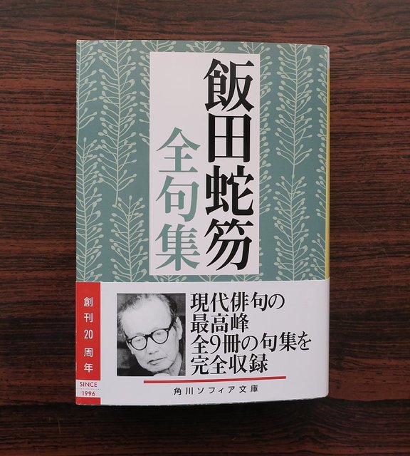 Amazon.co.jp: 飯田蛇笏句集 山廬集 初版 函(背ヤケイタミあり